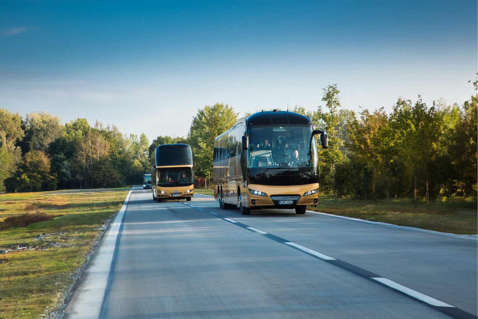 Mehrere Reisebusse fahren auf einer Landstraße durch eine grüne Landschaft mit Bäumen und klarem Himmel.