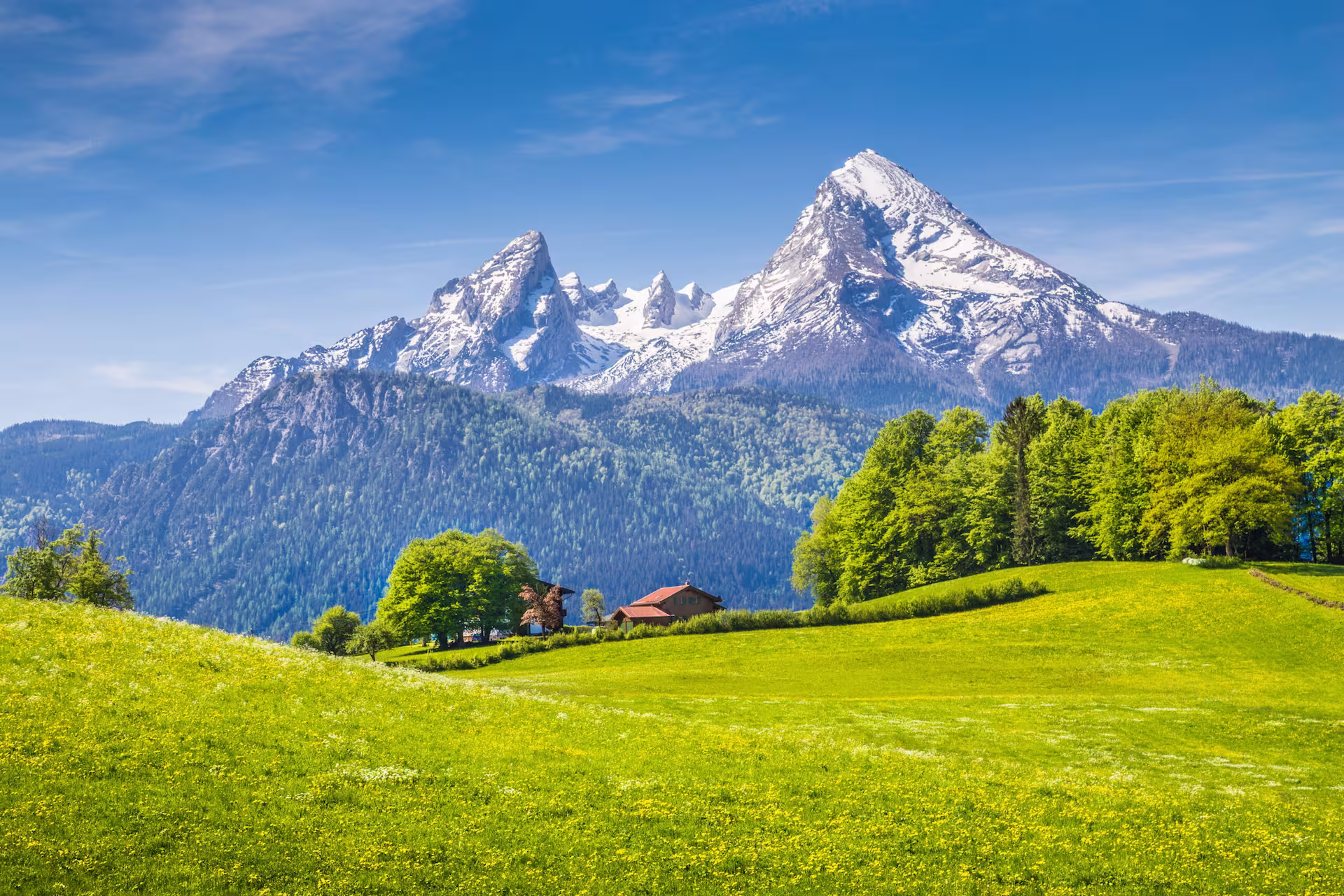 Busreise in die Alpen