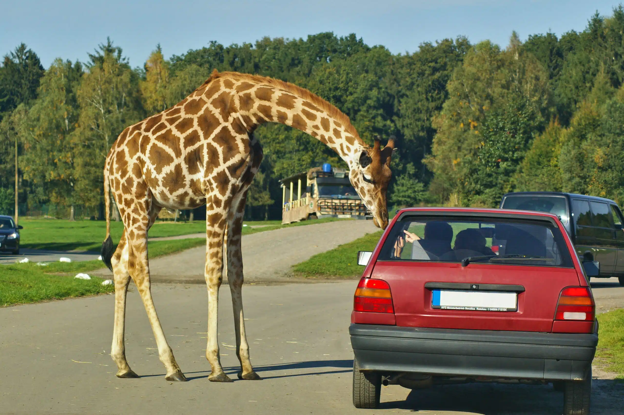 Serengeti Park